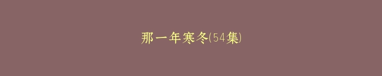 那一年寒冬（54集）