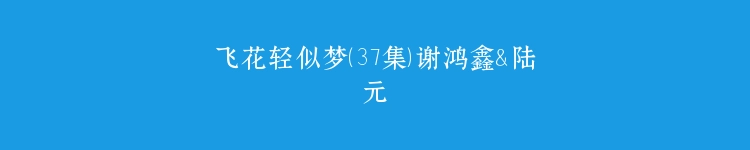 飞花轻似梦（37集）谢鸿鑫＆陆元