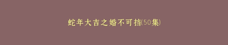 蛇年大吉之婚不可挡（50集）