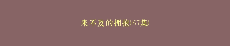 来不及的拥抱（67集）