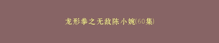 龙形拳之无敌陈小婉（60集）