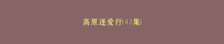 高原逐爱行（43集）