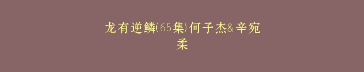 龙有逆鳞（65集）何子杰＆辛宛柔
