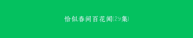 恰似春间百花闻（29集）