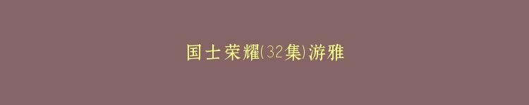国士荣耀（32集）游雅
