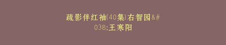 疏影伴红袖（40集）右智园&王寒阳