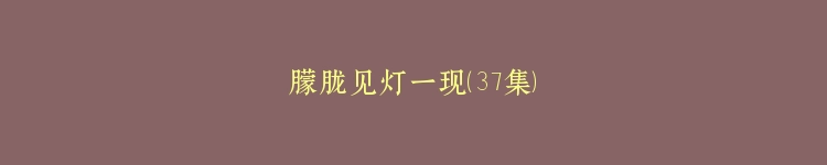 朦胧见灯一现（37集）