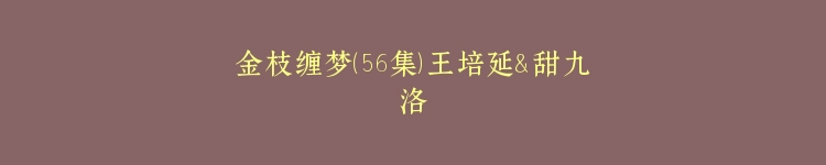 金枝缠梦（56集）王培延＆甜九洛