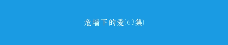 危墙下的爱（63集）