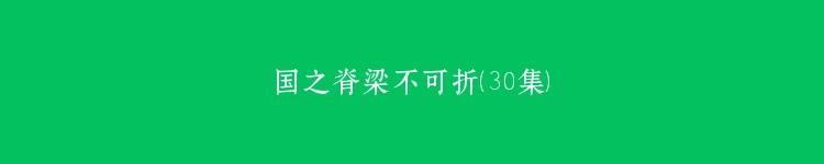国之脊梁不可折（30集）
