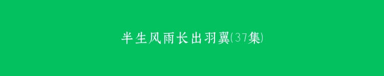 半生风雨长出羽翼（37集）