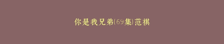 你是我兄弟（69集）范祺