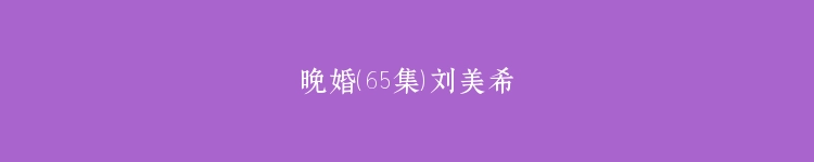 晚婚（65集）刘美希