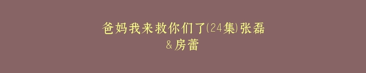爸妈我来救你们了（24集）张磊＆房蕾