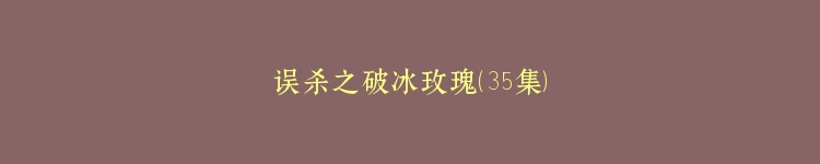 误杀之破冰玫瑰（35集）