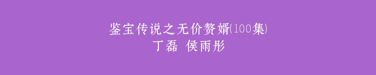 鉴宝传说之无价赘婿（100集）丁磊 侯雨彤