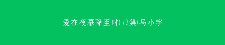 爱在夜幕降至时（73集）马小宇