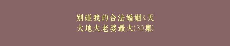 别碰我的合法婚姻&天大地大老婆最大（30集）