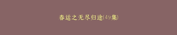 春运之无尽归途（49集）