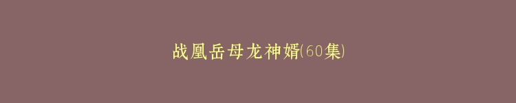 战凰岳母龙神婿（60集）
