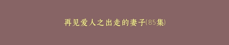 再见爱人之出走的妻子（85集）