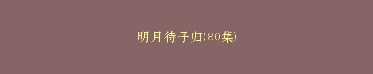 明月待子归（80集）