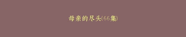 母亲的尽头（66集）