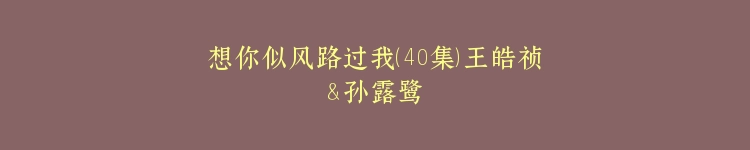 想你似风路过我（40集）王皓祯＆孙露鹭