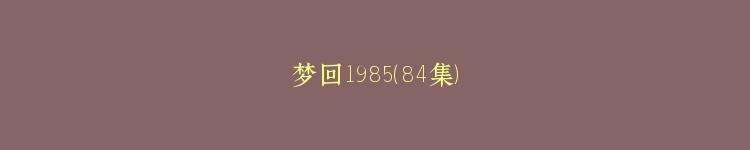 梦回1985（84集）