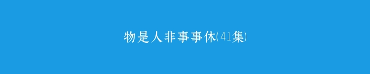 物是人非事事休（41集）