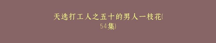 天选打工人之五十的男人一枝花（54集）