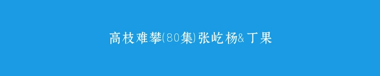 高枝难攀（80集）张屹杨＆丁果