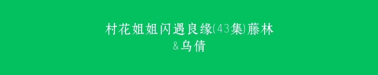 村花姐姐闪遇良缘（43集）藤林&乌倩