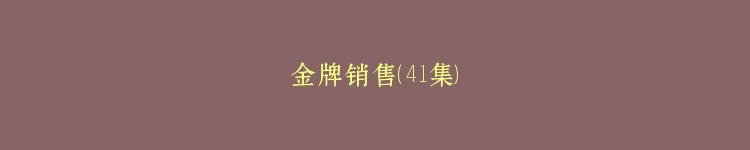 金牌销售（41集）