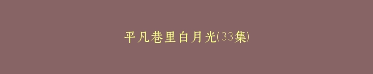 平凡巷里白月光（33集）