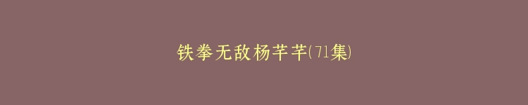 铁拳无敌杨芊芊（71集）