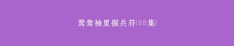 鸳鸯袖里握兵符（88集）