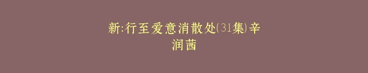 新：行至爱意消散处（31集）辛润茜