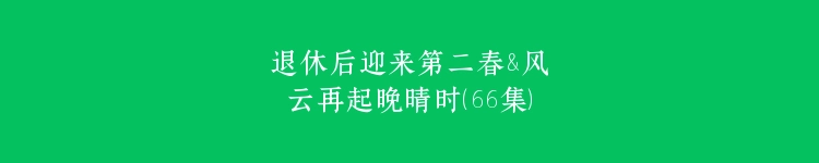 退休后迎来第二春&风云再起晚晴时（66集）