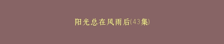 阳光总在风雨后（43集）