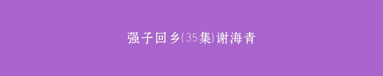 强子回乡（35集）谢海青