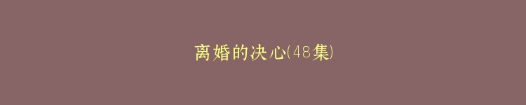 离婚的决心（48集）
