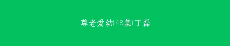 尊老爱幼（48集）丁磊