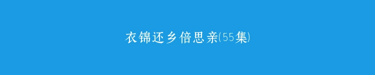 衣锦还乡倍思亲（55集）