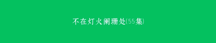 不在灯火阑珊处（55集）