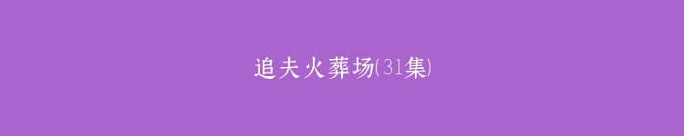 追夫火葬场（31集）