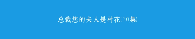 总裁您的夫人是村花（30集）