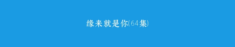 缘来就是你（64集）