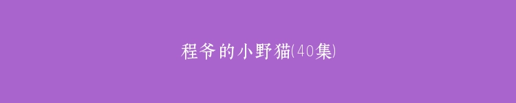 程爷的小野猫（40集）
