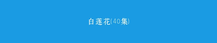 白莲花（40集）